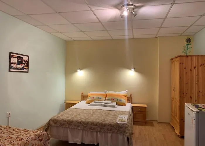 Guest House Olesya 招待所 奥布佐尔