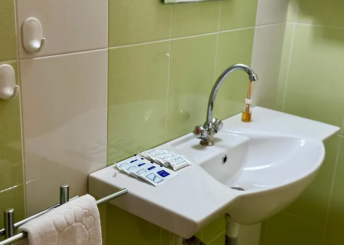 Guest House Olesya 招待所