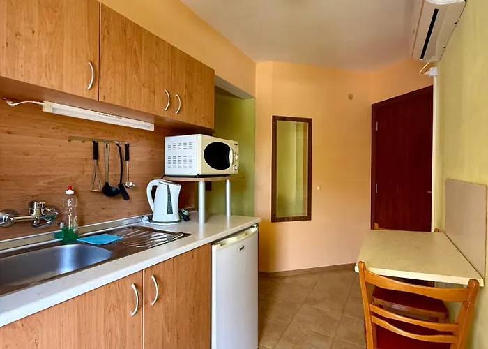 Guest House Olesya 3*