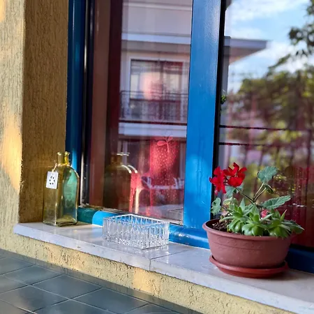 Guest House Olesya 3* Обзор