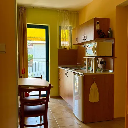 Guest House Olesya 3*