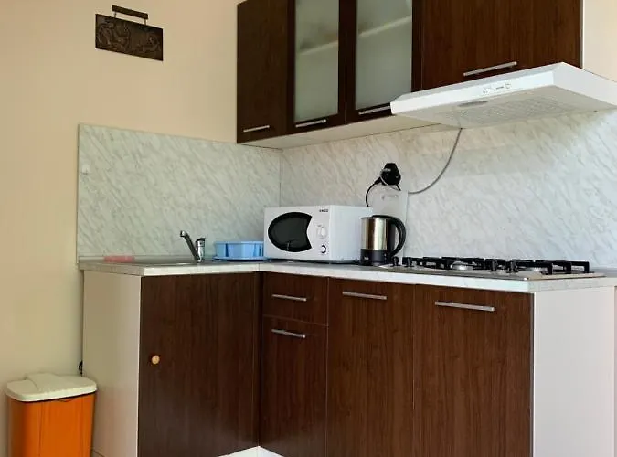 Pensiune Guest House Olesya