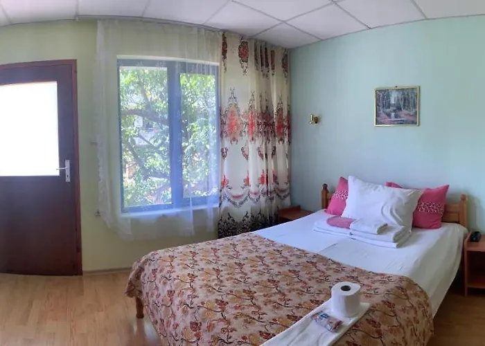 Pensiune Guest House Olesya 3*