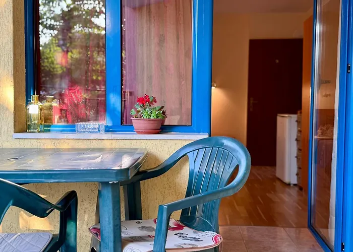 Pensiune Guest House Olesya