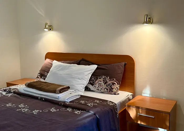 Guest House Olesya 招待所 3*