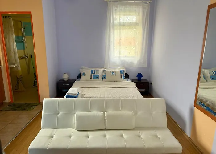 Pensiune Guest House Olesya 3*