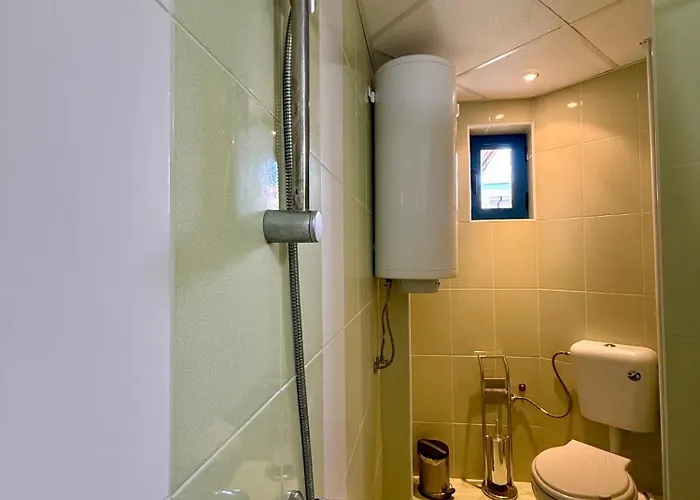 Guest House Olesya Pensiune 3*