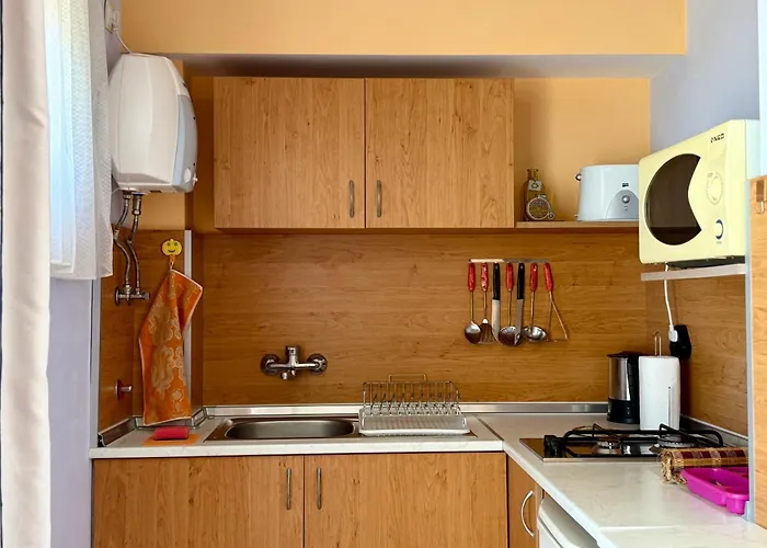 Guest House Olesya 奥布佐尔