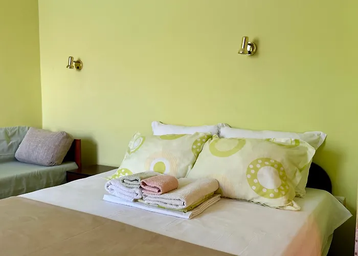 Guest House Olesya 招待所