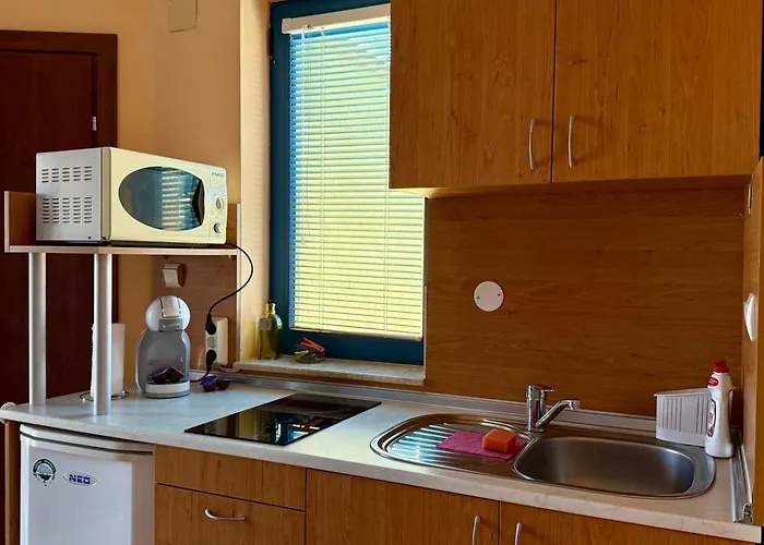 Guest House Olesya Obzor